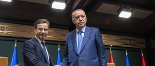 Erdogan hotar: ”Ska inte förvänta sig att Turkiet stödjer Sveriges Nato-ansökan”