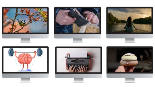 Onlinekurser om allt från fåglar till yoga