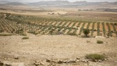 Vattenransonering införs i Tunisien