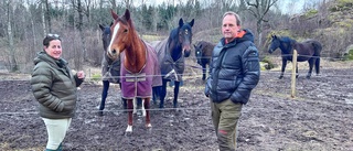 Tog fram säkrare hästtransporter – nu säljs företaget