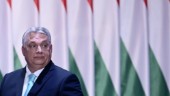 Startskottet går för Ungerns Natobeslut