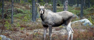 Boende i byn önskar lika rättigheter