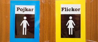 Luleås toaletter blir könsneutrala