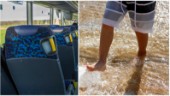 Klart: Gratisbuss tar badsugna till Varamon i sommar