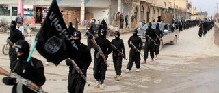 Östgötska IS-flickan åtalas för terrorism