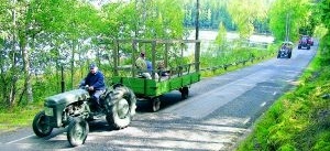 Grållerally med katt bland hermelinerna