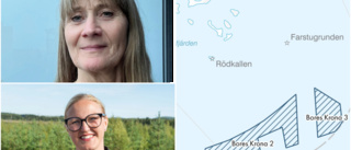 Planer på havsbaserad vindkraftspark i Luleå skärgård • Kommer synas från öarna • "De här snurrorna går inte att gömma"