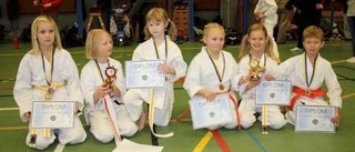 Boden dominerade på karate-DM