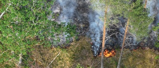 LIVE: Stora skogsbranden under kontroll – slutade på 6 000 kvm