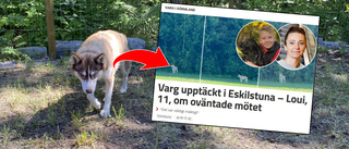 Vändningen (?): Idun, 1, är "vargen" i Eskilstuna