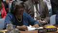 USA ber FN:s säkerhetsråd att stötta vapenvila
