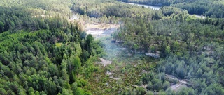 Larmet: Brand i terrängen – tallskog nedbrunnen
