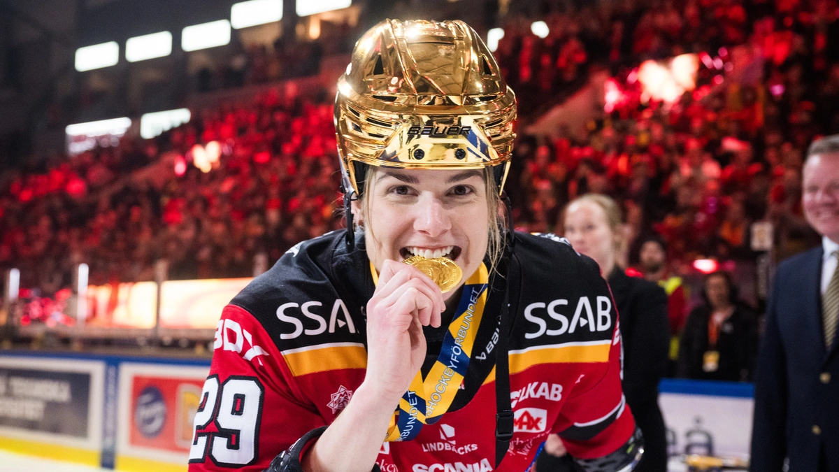 Matchtråd Luleå Hockey/MSSK, 2023/2024 - Sida 3 Redirect