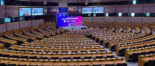 Flera politiker har vikit ner sig – välj rätt i EU-valet