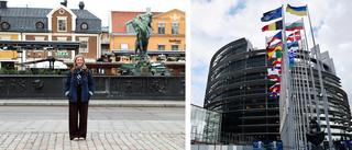 Här är Linköpingspolitikern med störst chans på EU-parlamentet