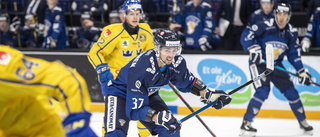Avslöjar: Han är spelaren Luleå Hockey förhandlar med