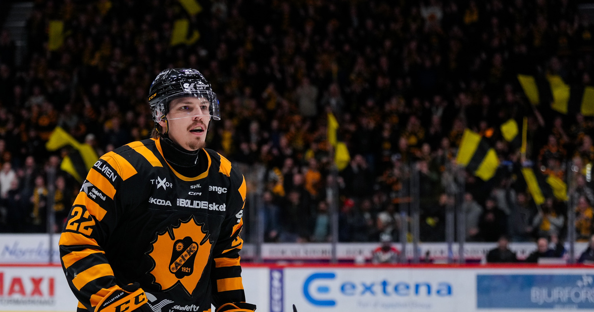 Skellefteå AIK: Jonathan Johnson öser in poäng – hyllar laget: ”Grymt att se”