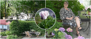 Trädgård på Västra Skurholmen uppmärksammas • Öppnas för alla