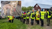 Försvunna kvinnans hund har kommit hem: "I bra skick"