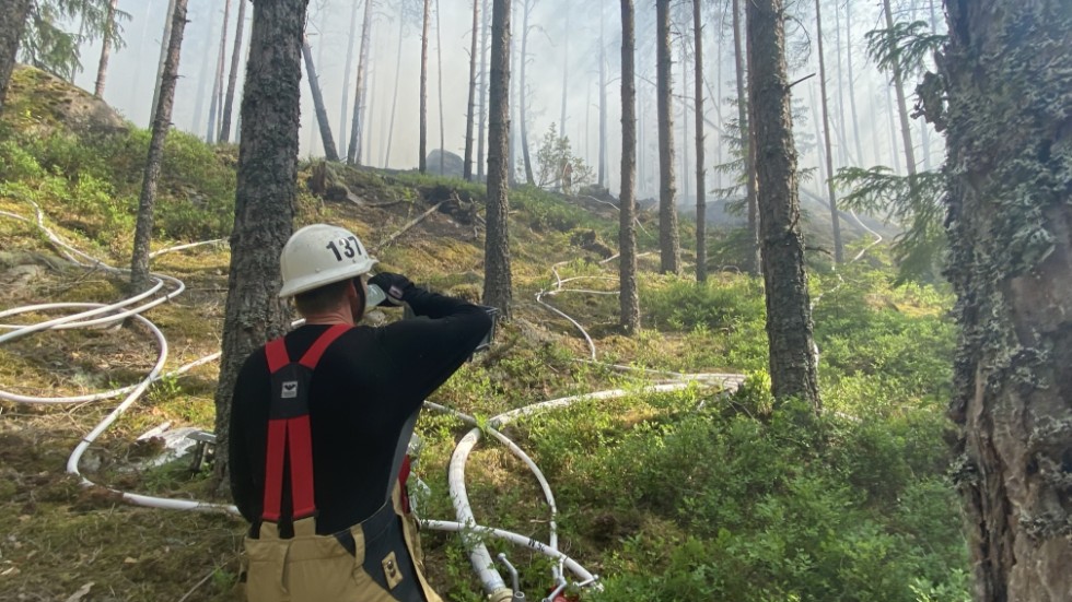 Skogsbranden intill nationalparken i Norra Kvill härjade i besvärlig terräng med branta berg. Det gjorde att räddningsstyrkan bland annat fick en del problem med att hålla trycket i slangarna på grund av höjdskillnaden.