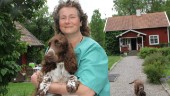 Veterinären Susann behandlar sjuka djur – i sitt hem