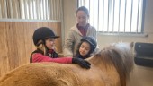 Oviss framtid för älskad ponnyridskola på omdebatterade Nyäng