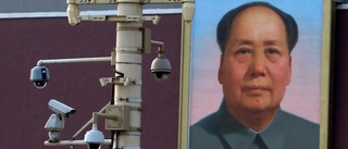 Ordförande Mao och pilfinkarna