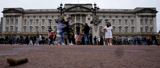 Man gripen utanför Buckingham Palace