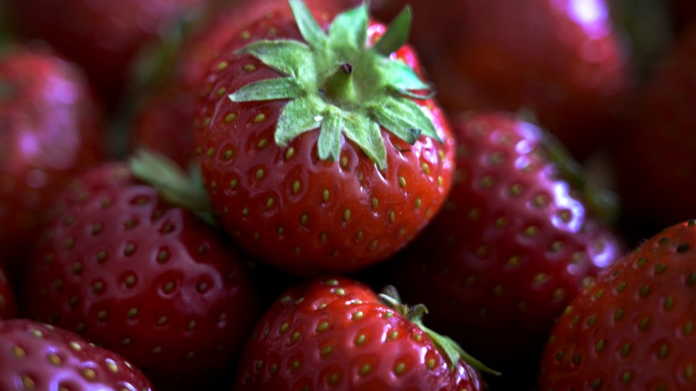 Långa köer uppstod när många ville ha sina jordgubbar inför midsommar. Arkivbild.
