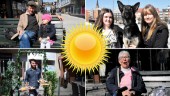 Luleåborna solbadade i värmeböljan: "Oj så skönt"