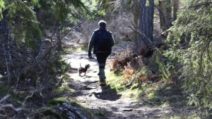 Varierad vandring längs Torsburgenleden
