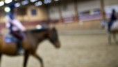 Allvarlig incident: Hästar skenade på Hippologum