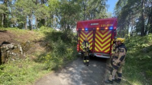 Brand i skogsdunge – räddningstjänsten ryckte ut