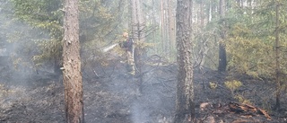 SMHI varnar: Stor risk för brand i skog och mark
