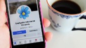 Sociala medier-topplistan: Här finns Västerviks partier • De är mest aktiva på Instagram 