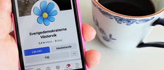 Sociala medier-topplistan: Här finns Västerviks partier • De är mest aktiva på Instagram 