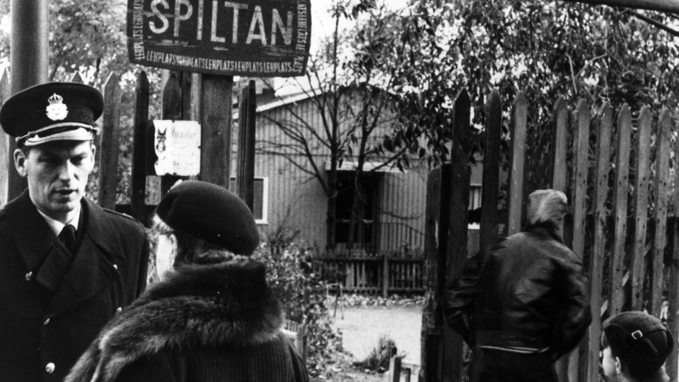 Den sk "Spiltaligan" sprängdes 1958 sedan en av ungdomarna anmält sig friviliigt efter en misshandel i Humlegården i Stockholm. På bilden överkonstapel Bertil Ledel som tar emot en amälan från en äldre Östermalmsdam utanför lekplatsen "Spiltan" på Styrmansgatan som ungdomsgänget hade som tillhåll.