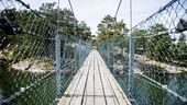 Stendörrens broar byts ut för säker passage