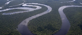 Hylén: Amazonas förstörs i populismens klor