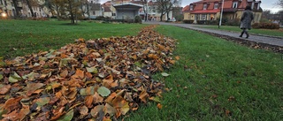 Alkoholförtäring i Ugglans park blir tillåtet