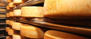 Litet mejeri producerar stor ost