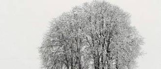 Blandat vinterväder väntar i länet