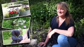 Välkommen till trädgården på Skurholmen: "Jag vill visa upp en trädgård i ständig förvandling"