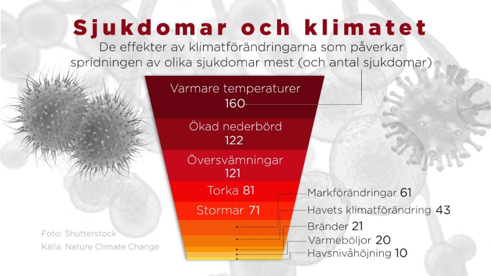 De effekter av klimatförändringarna som påverkar spridningen av olika sjukdomar mest (och antal sjukdomar).