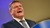 Ryskt guld målet för nya EU-sanktioner