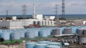 Gör som Japan – återstarta kärnkraft