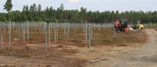 ETC vill bygga ytterligare en solcellspark i Hultsfred • Kan bli tre gånger så stor som anläggningen på "Kiras öken"
