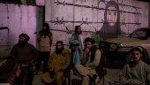 Talibanerna rensar i egna led och i tv