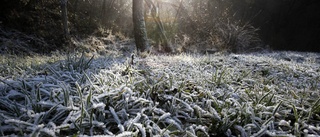 Kylig morgon – har du bytt till vinterdäck än? • Snö i tiodygnsprognosen