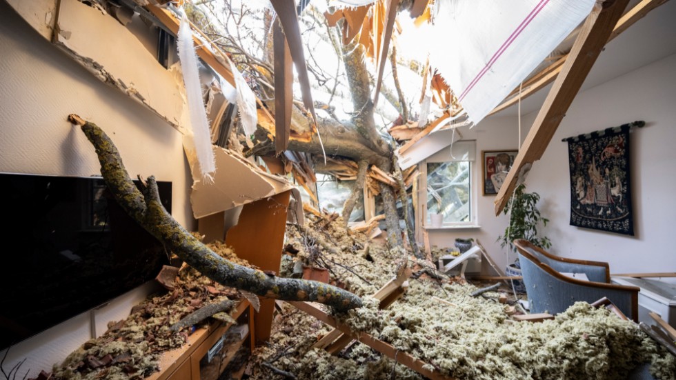 Ett fallande träd slog sönder delar av en lägenhet i centrala Malmö. Kvinnan som bor där klarade sig med fem minuters marginal.